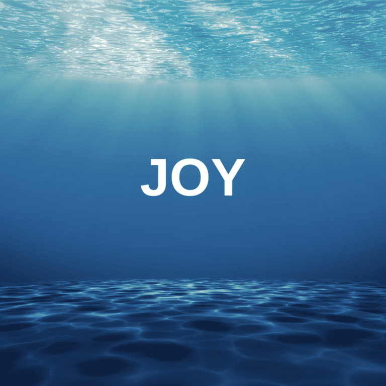 Joy